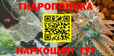 гашишное масло Гай