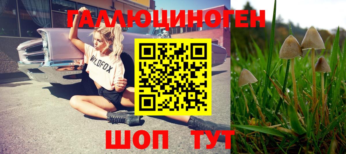 Дивногорск  Галлюциногенные грибы Magic Shrooms  купить наркотики цена  Вход с VPN 