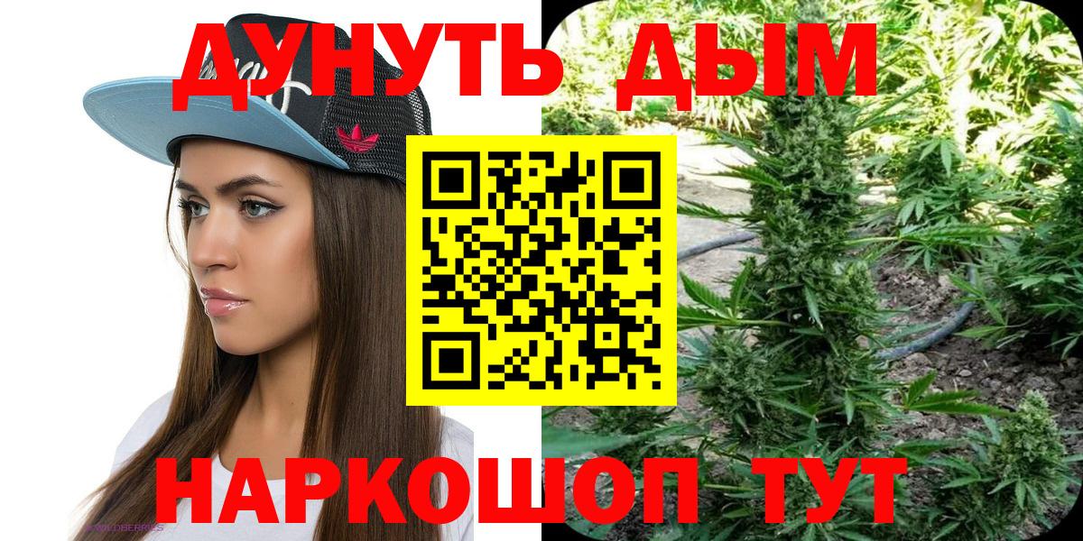 Бошки Шишки планчик  Вход с VPN  МАРИХУАНА Ganja  Дивногорск 